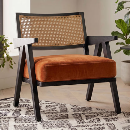 Chair with orange cushion and wicker backrest in a room with plants and a rug.