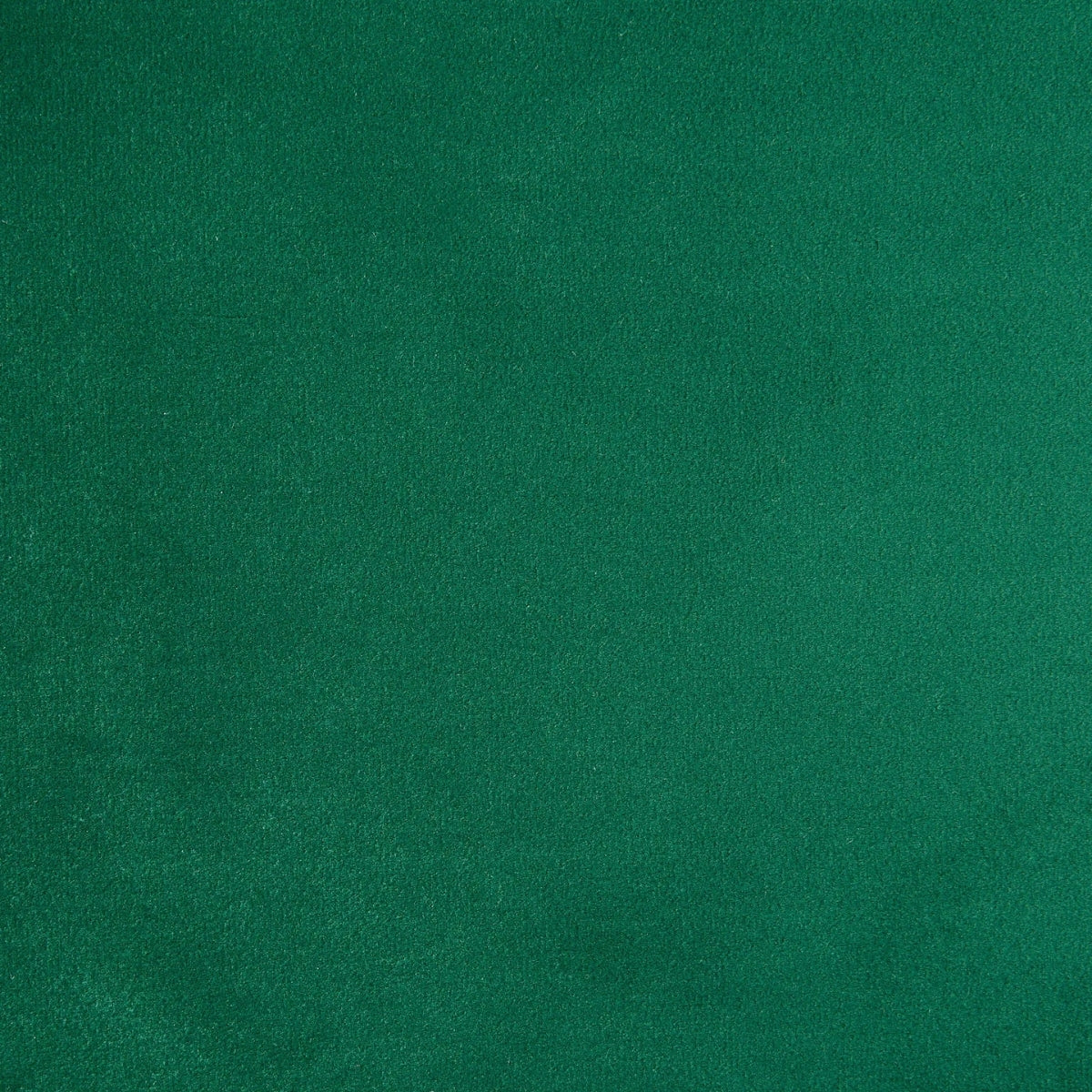 Solid green color swatch