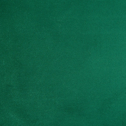 Solid green color swatch